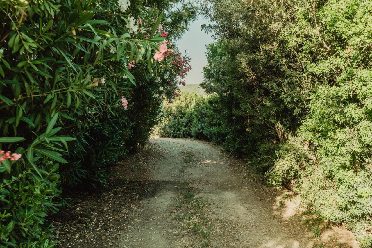 Vila Il Casale Teulada Exteriér fotografie
