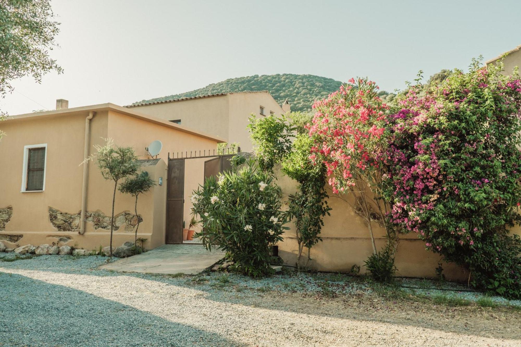Vila Il Casale Teulada Exteriér fotografie